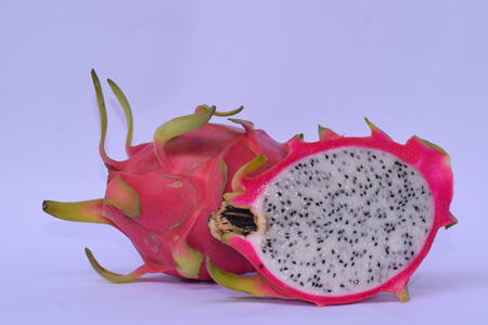 Dragon fruit hanging on vine